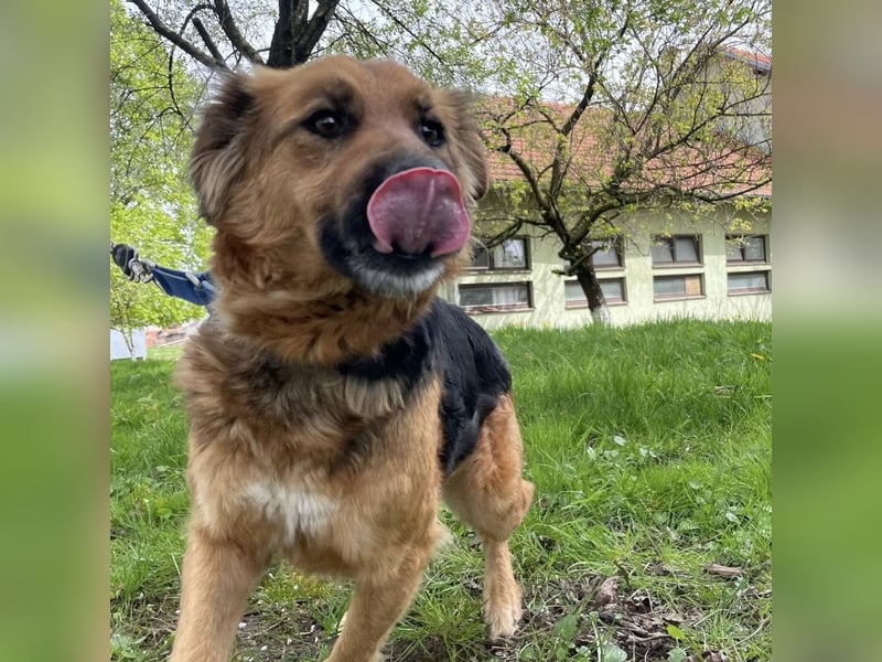 Paula ein lieber Schatz