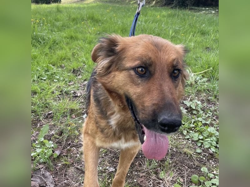 Paula ein lieber Schatz