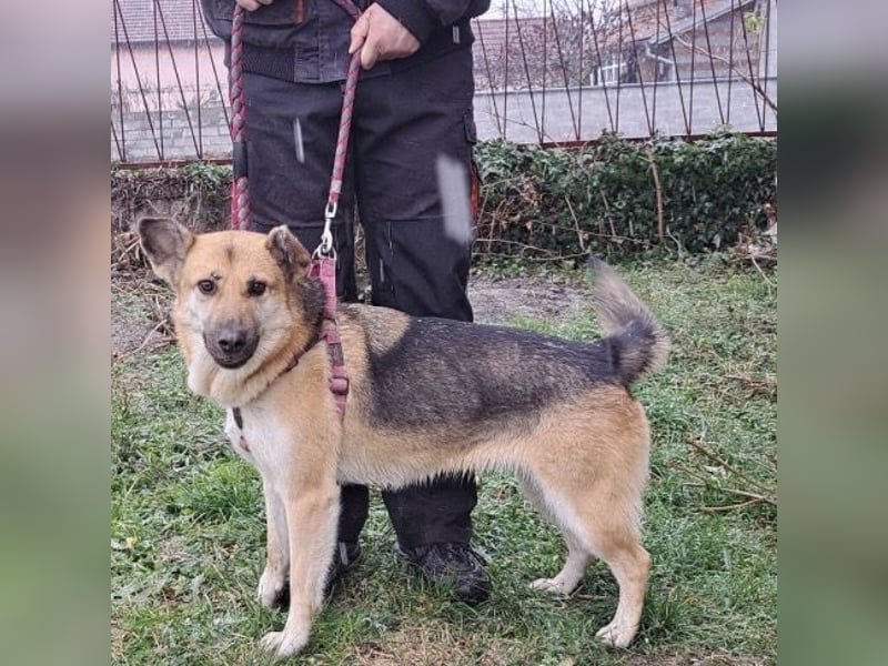 Lu - ein absoluter Notfall