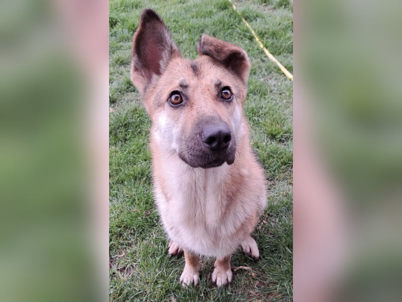 Lu - ein absoluter Notfall