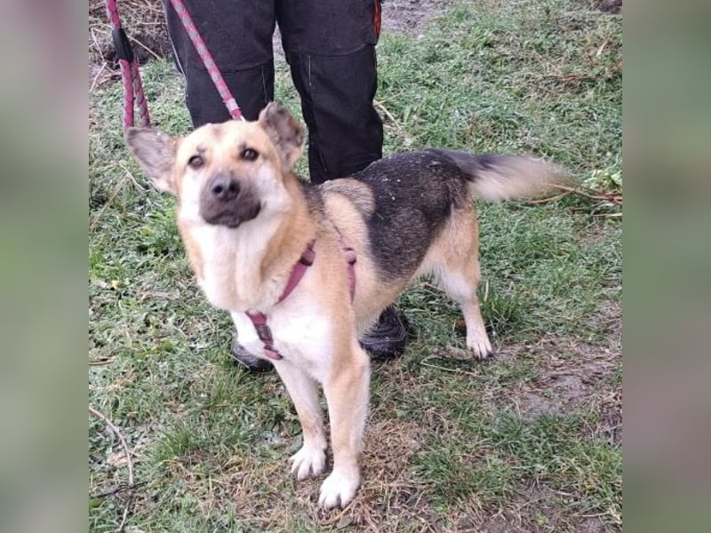 Lu - ein absoluter Notfall