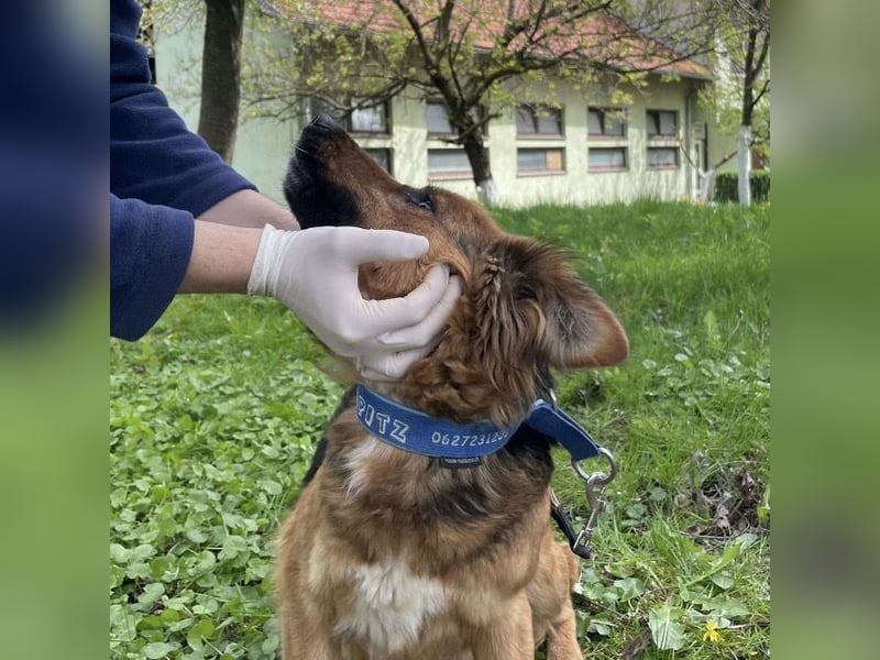 Paula ein lieber Schatz