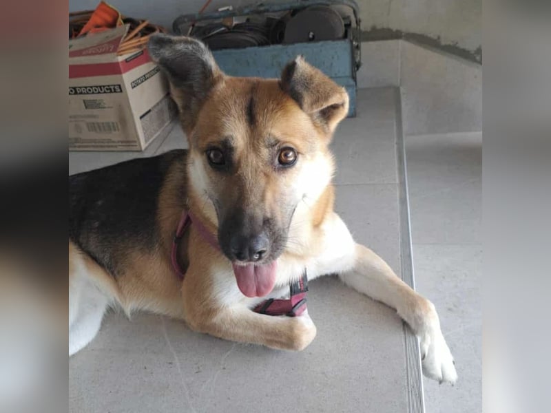 Lu - ein absoluter Notfall