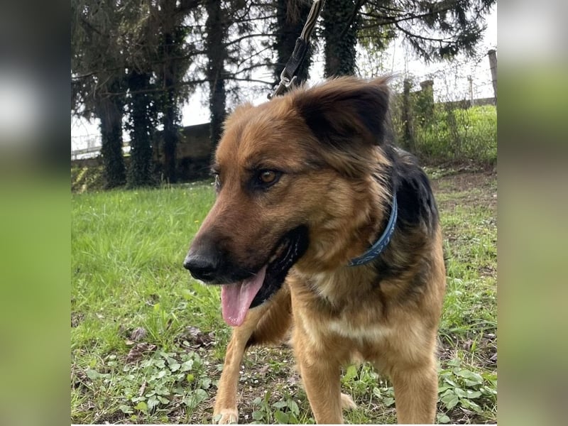 Paula ein lieber Schatz