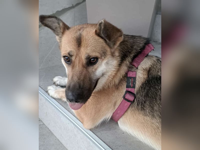 Lu - ein absoluter Notfall