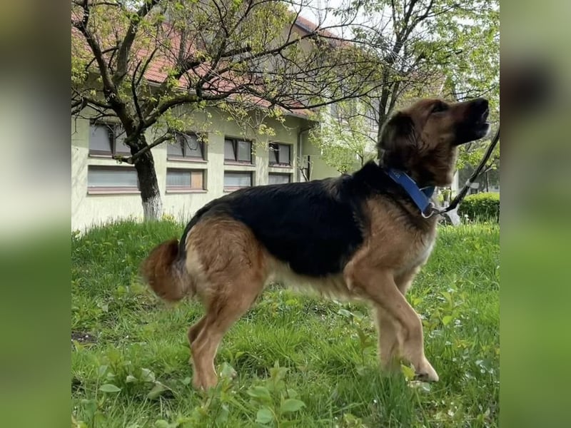 Paula ein lieber Schatz