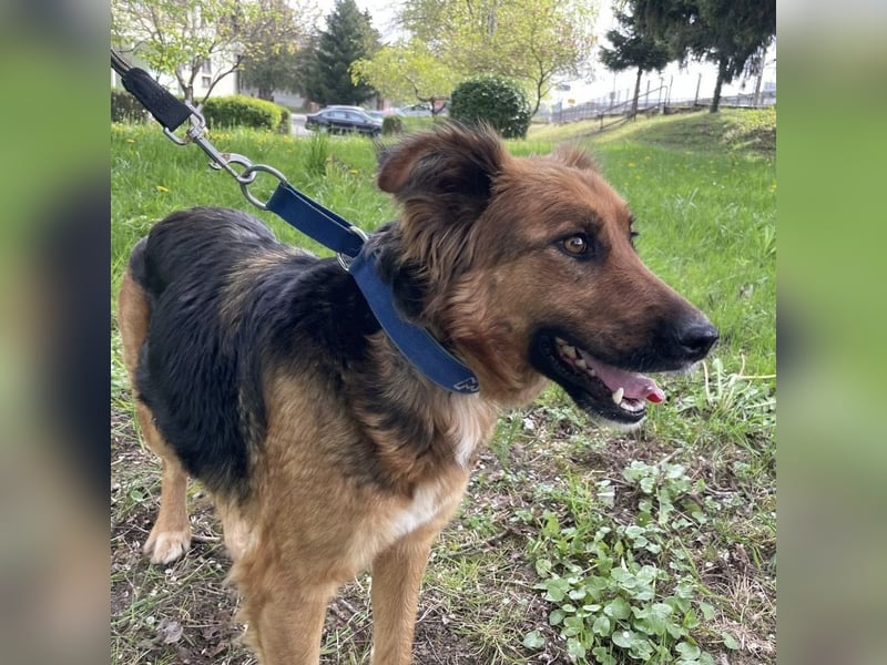 Paula ein lieber Schatz