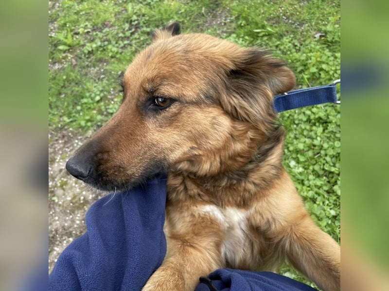 Paula ein lieber Schatz