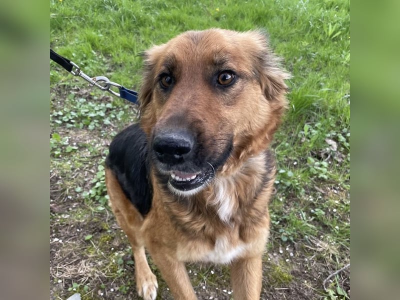 Paula ein lieber Schatz