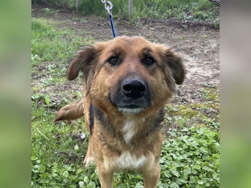 Paula ein lieber Schatz