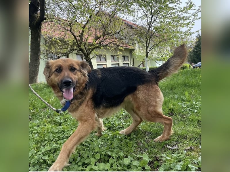 Paula ein lieber Schatz