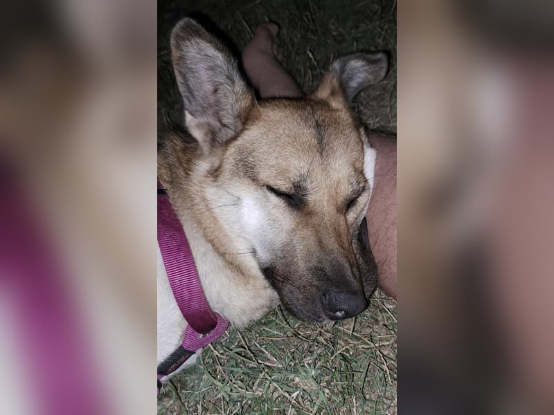 Lu - ein absoluter Notfall