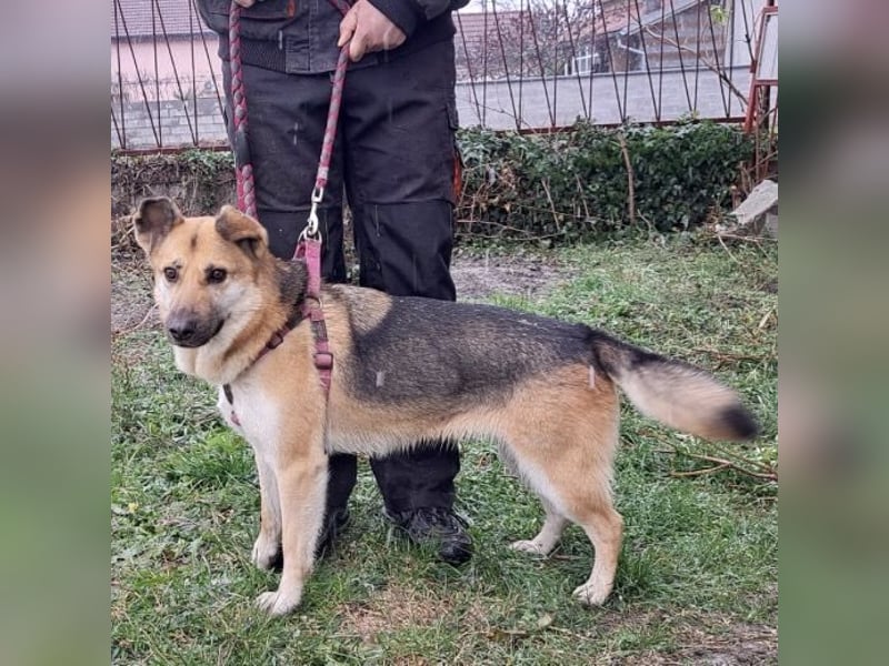 Lu - ein absoluter Notfall