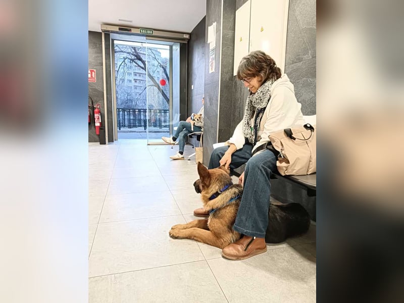URSULA-zurückhaltende, ruhiges Mädchen will unbedingt ein liebevolles Für-immer-Zuhause