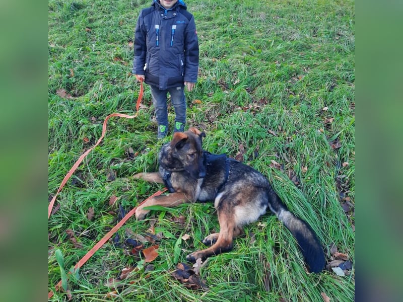 Pia braucht dringend ein neues Zuhause