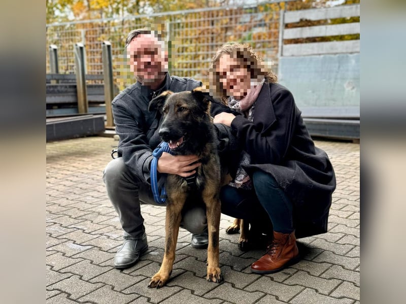 Pia braucht dringend ein neues Zuhause