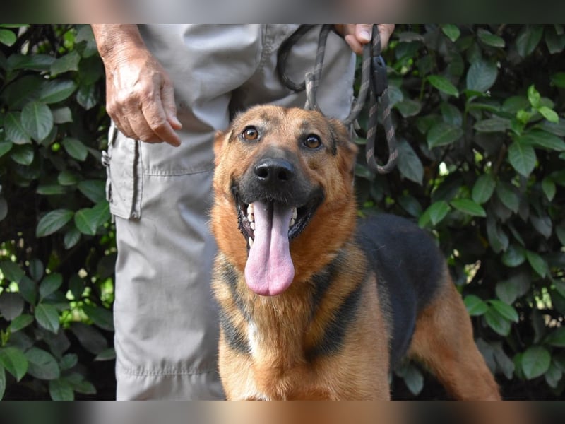 Benjard - NOTFALL- Der Mut der Verzweiflung