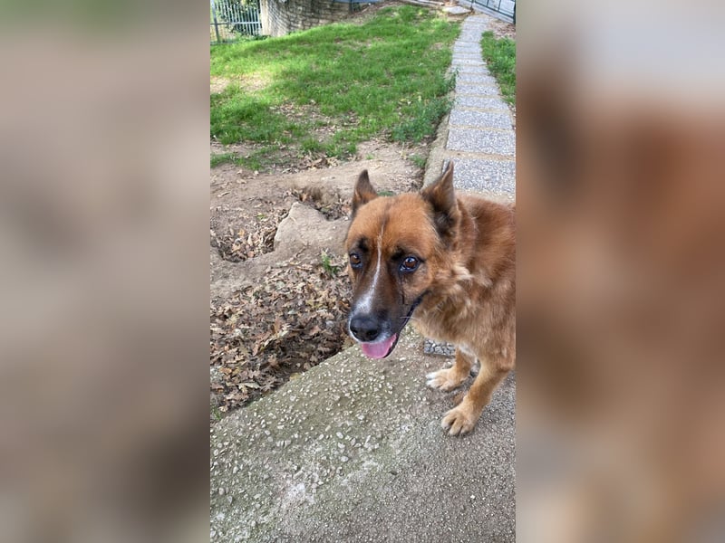 Boh - NOTFALL - Zurück im Leben