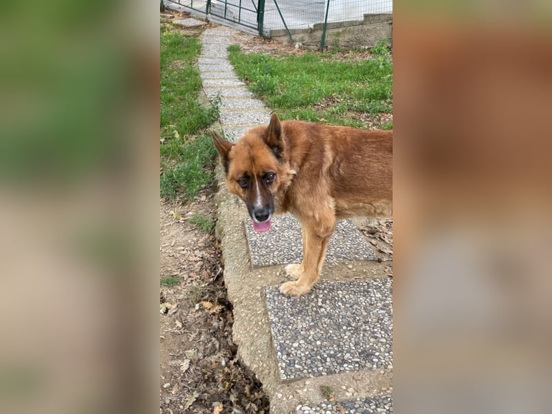 Boh - Notfall - Sanft. Stark. Echt