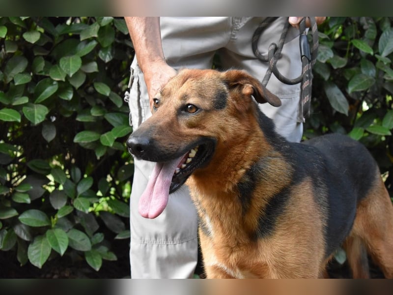 Benjard - NOTFALL- Der Mut der Verzweiflung