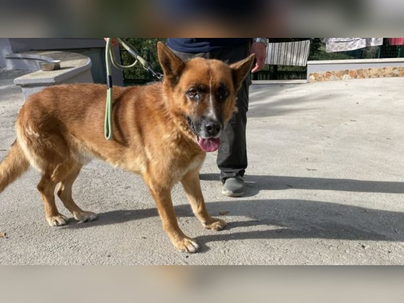 Boh - Notfall - Sanft. Stark. Echt