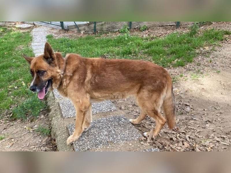 Boh - Notfall - Sanft. Stark. Echt