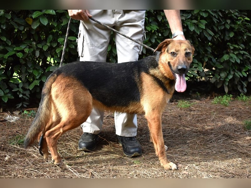 Benjard - NOTFALL- Der Mut der Verzweiflung