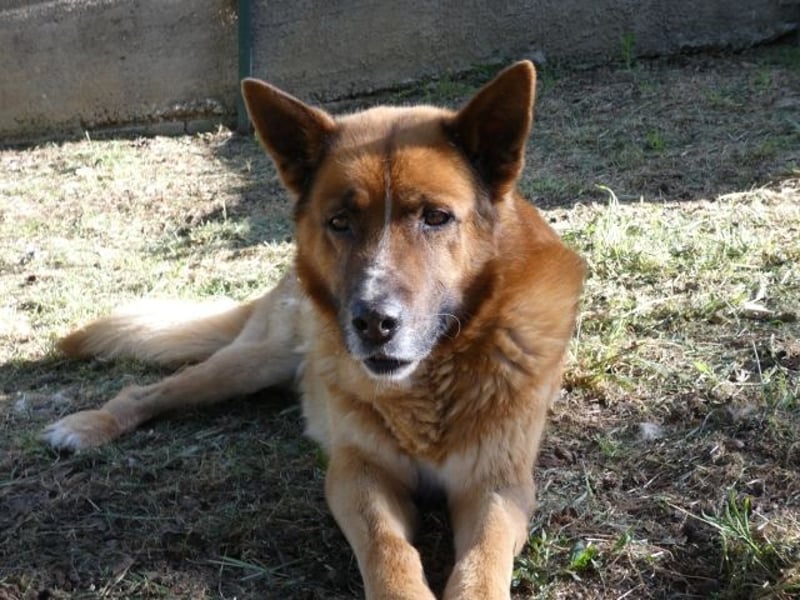 Boh - NOTFALL - Zurück im Leben