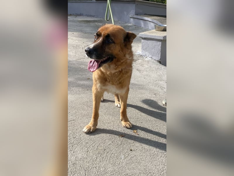 Boh - Notfall - Sanft. Stark. Echt