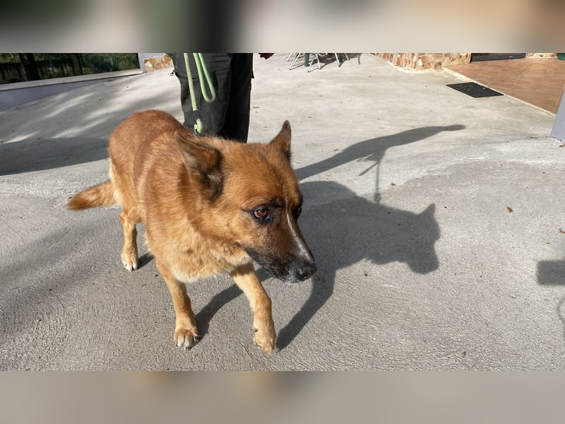 Boh - NOTFALL - Zurück im Leben