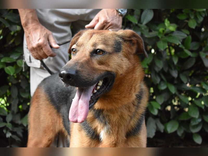 Benjard - NOTFALL- Der Mut der Verzweiflung