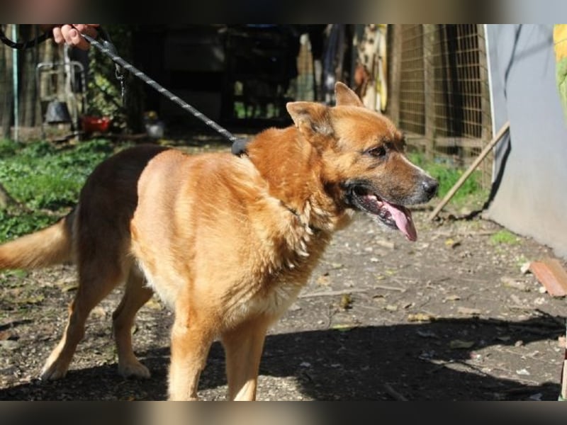 Boh - NOTFALL - Zurück im Leben