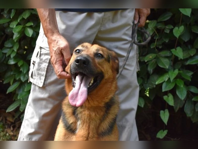 Benjard -SOS -  Der Mut der Verzweiflung