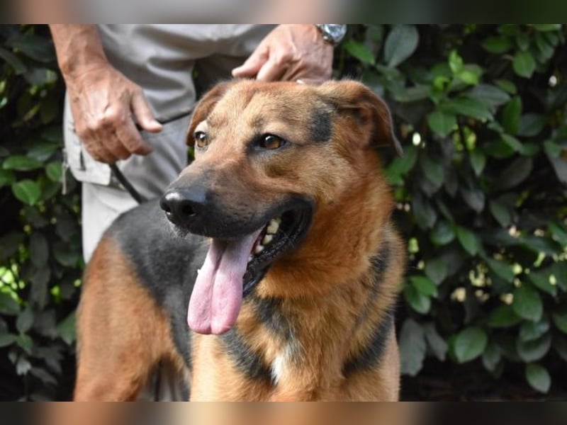 Benjard -SOS -  Der Mut der Verzweiflung