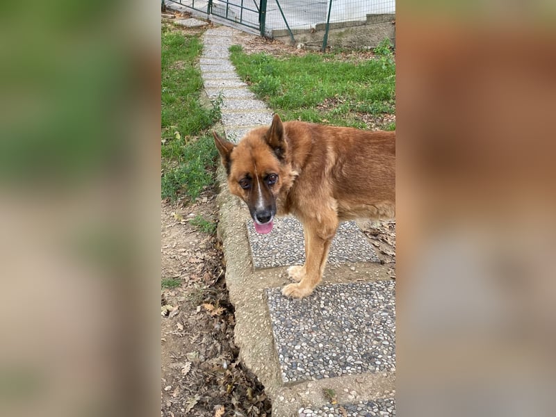 Boh - NOTFALL - Zurück im Leben