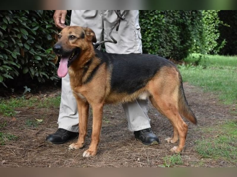 Benjard -SOS -  Der Mut der Verzweiflung