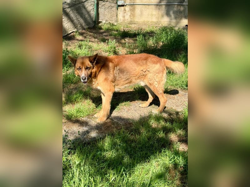 Boh - NOTFALL - Zurück im Leben