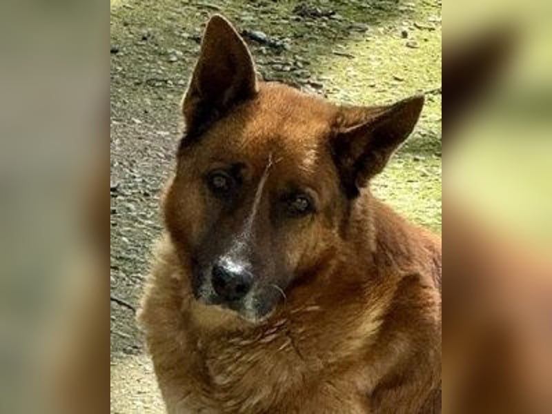 Boh - NOTFALL - Zurück im Leben