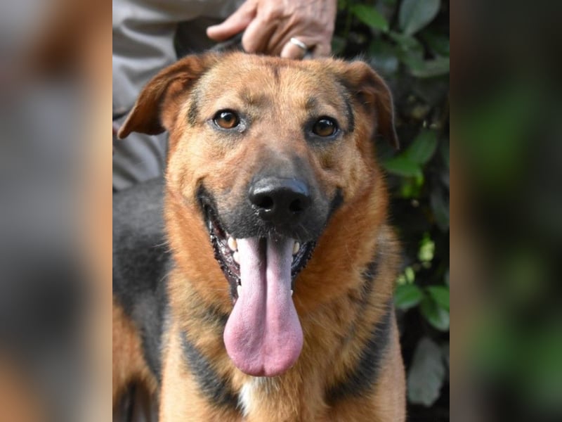 Benjard - NOTFALL- Der Mut der Verzweiflung