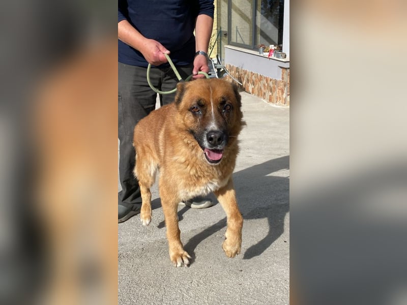 Boh - Notfall - Sanft. Stark. Echt