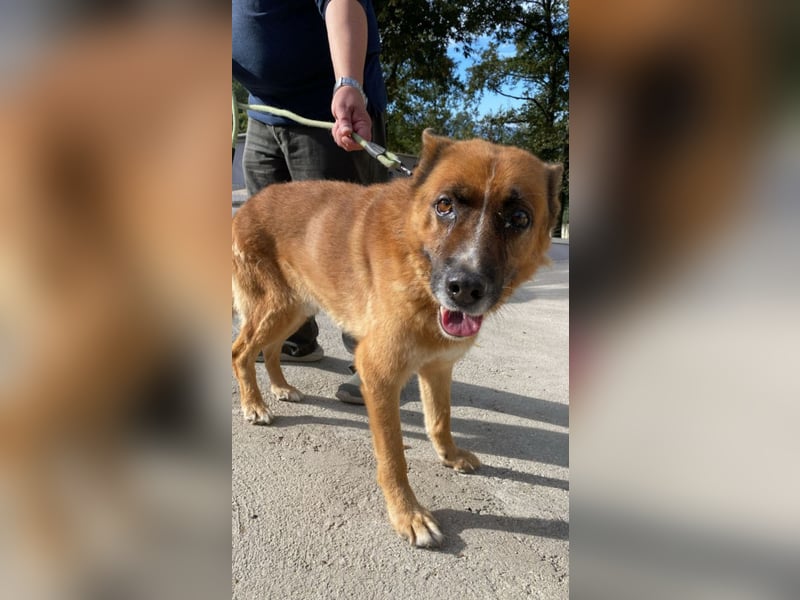 Boh - Notfall - Sanft. Stark. Echt