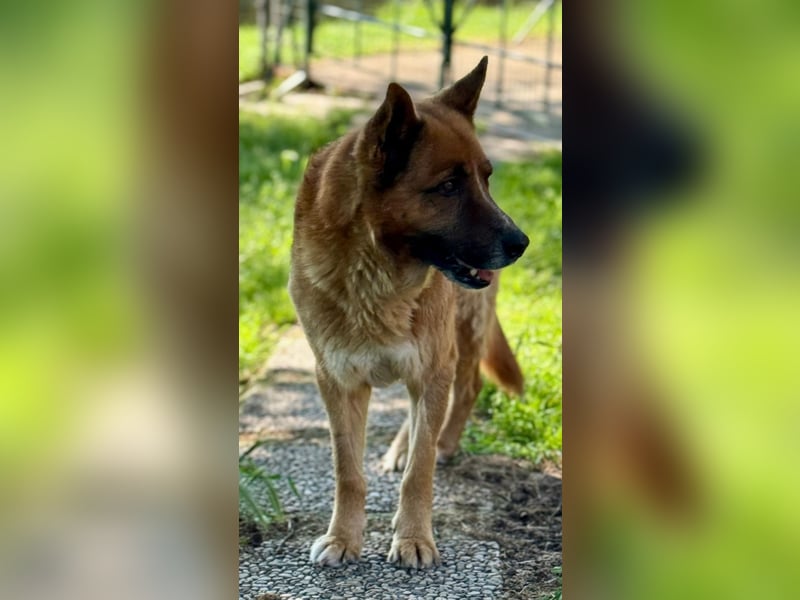 Boh - Notfall - Sanft. Stark. Echt