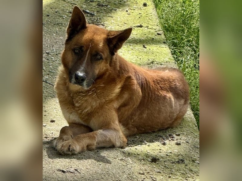 Boh - Notfall - Sanft. Stark. Echt