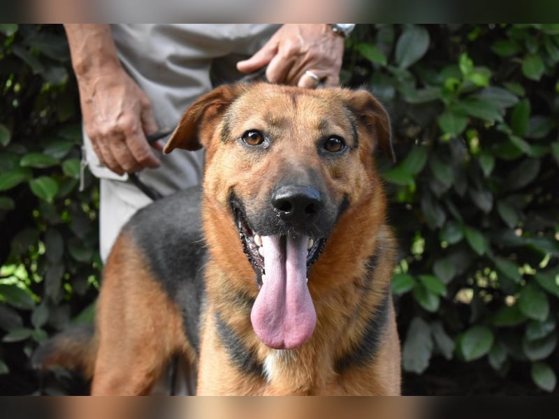 Benjard - NOTFALL- Der Mut der Verzweiflung