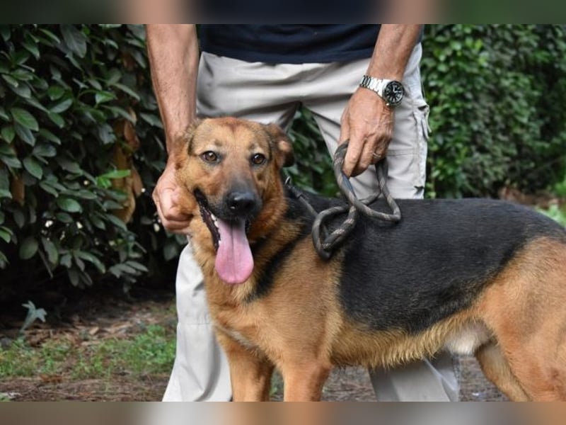 Benjard -SOS -  Der Mut der Verzweiflung