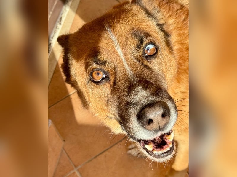 Boh - Notfall - Sanft. Stark. Echt