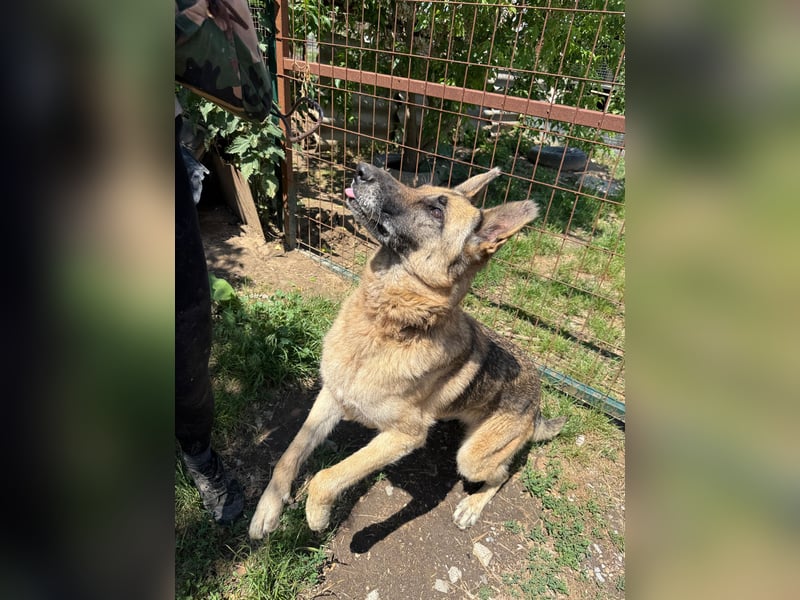 Juci sucht Abenteuer