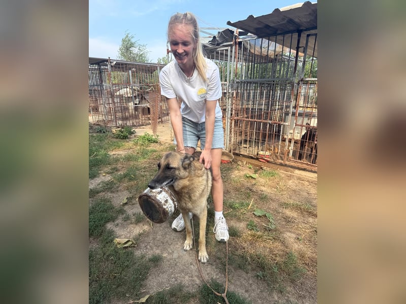 Juci sucht Abenteuer