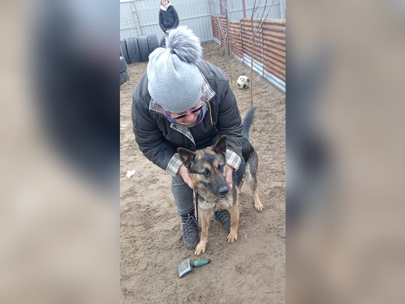 Endlich ankommen – das wünscht sich Szebra