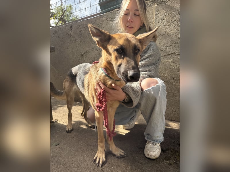 Missy - ist es anscheinend nicht wert geliebt zu werden???